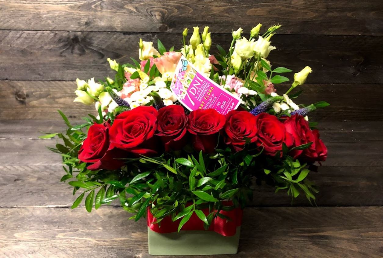 Fany Flora Bratislava