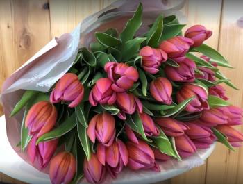 Kvetinárstvo Bajka Flowers Lučenec<