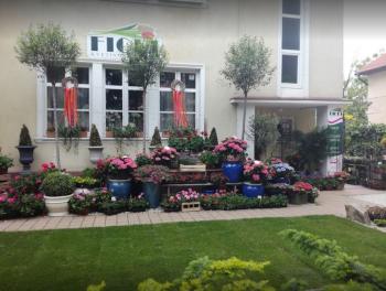 Kvety Fiori Nitra