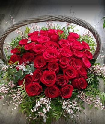 Kvety Florin Nitra